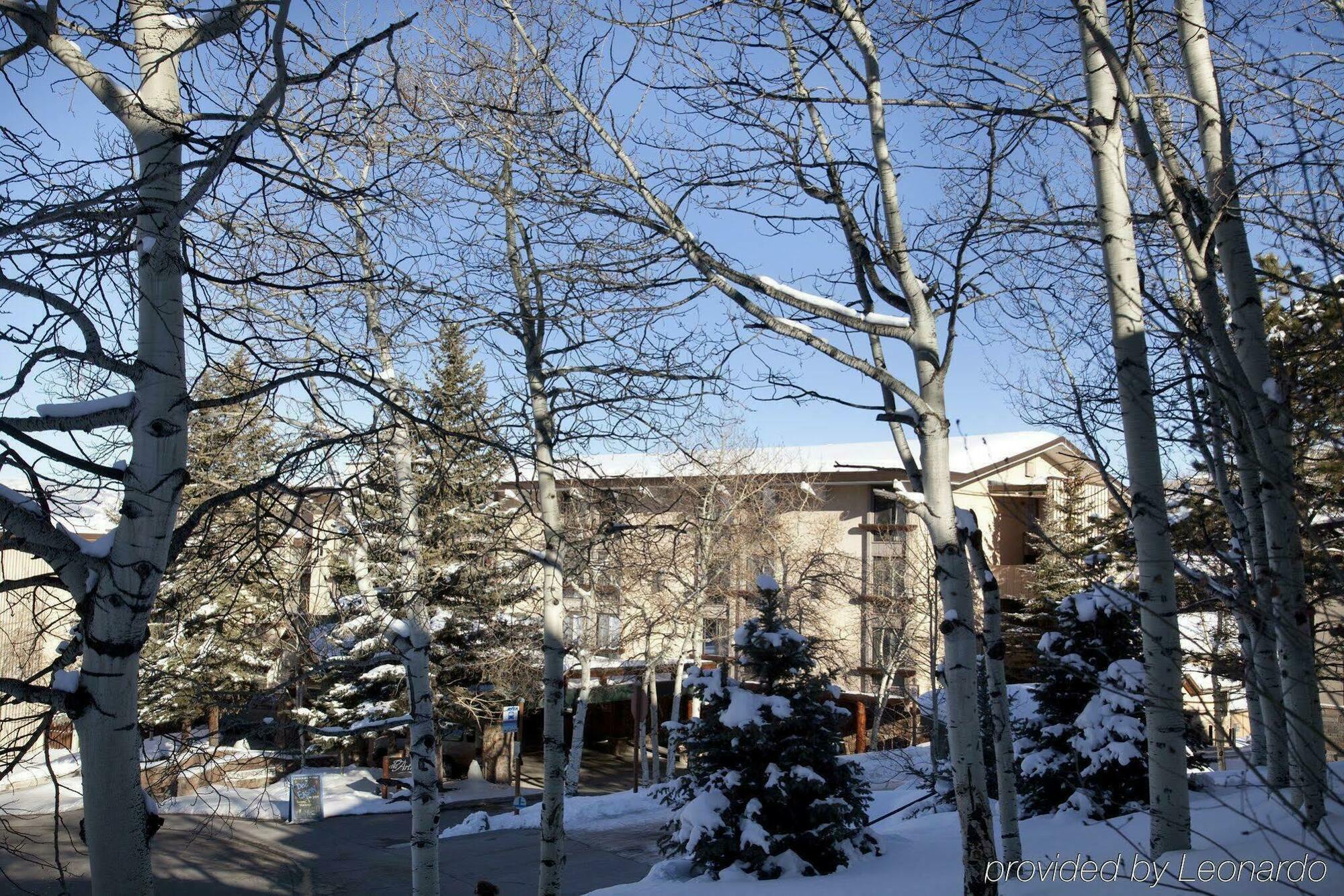 Tamarack Townhomes - Coraltree Residence Collection Snowmass Village Eksteriør bilde